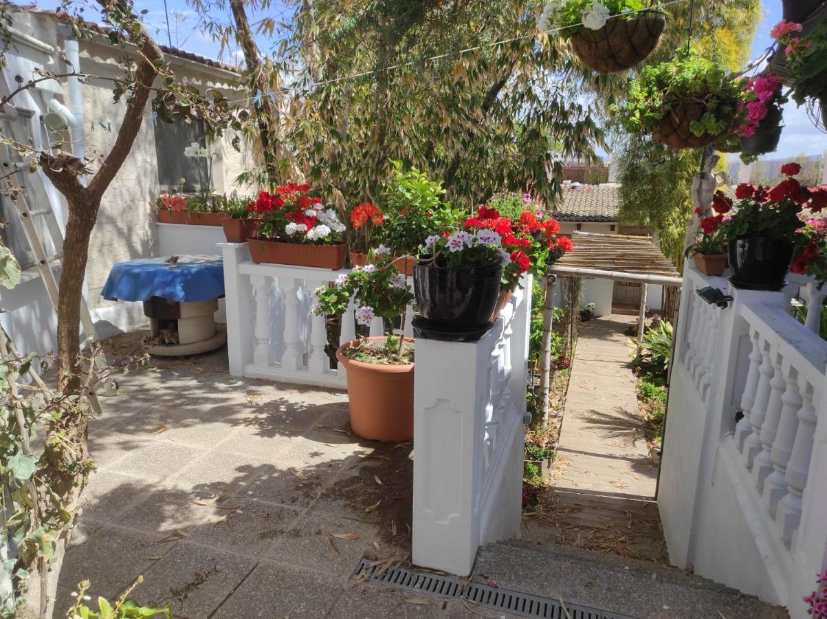 Lägenhet The Green House - Adults Only Palma de Mallorca